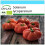 SAFLAX Geschenk Set - Tomate - Marmande - Solanum - 10 Samen 1