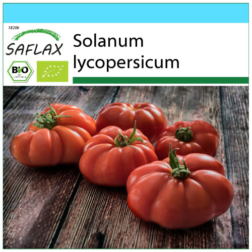 SAFLAX Geschenk Set - Tomate - Marmande - Solanum - 10 Samen