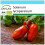 SAFLAX Geschenk Set - Tomate – Marzano - Solanum - 15 Samen 1