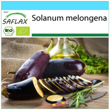SAFLAX Geschenk Set - Aubergine - Long Purple - Solanum - 20 Samen