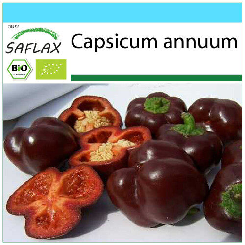 SAFLAX Geschenk Set - Paprika – Chocolate - Capsicum - 10 Samen