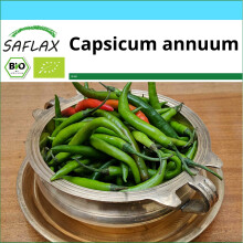 SAFLAX Geschenk Set - Chili – Sigaretta di Bergamo - Capsicum - 10 Samen