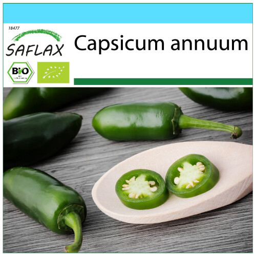 SAFLAX Geschenk Set - Chili – Jalapeno - Capsicum - 20 Samen