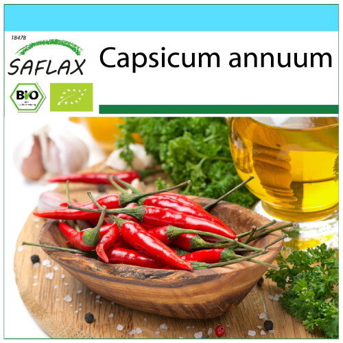 SAFLAX Geschenk Set - Chili – Cayenne - Capsicum - 10 Samen