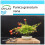 SAFLAX Geschenk Set - Zwerg-Granatapfel - Punica - 50 Samen 1