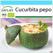 SAFLAX Geschenk Set - Zucchini - Tondo di Nizza - Cucurbita - 5 Samen