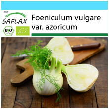 SAFLAX Set regalo - BIO - Finocchio - 100 semi - Foeniculum