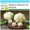 SAFLAX Geschenk Set - Blumenkohl - Schneeball - Brassica - 70 Samen 1
