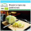 SAFLAX Geschenk Set - Chinakohl - Granat - Brassica - 40 Samen 1
