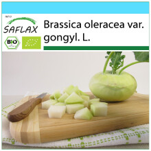 SAFLAX Set regalo - BIO - Cavolo rapa - Superschmelz - 20 semi - Brassica