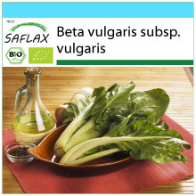 SAFLAX Geschenk Set - Schweizer Mangold - Beta - 150 Samen