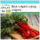 SAFLAX Geschenk Set - Mangold - Rhubarb - Beta - 50 Samen 1