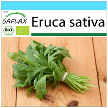 SAFLAX Geschenk Set - Ruccola - Eruca - 3000 Samen