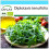 SAFLAX Geschenk Set - Wilder Ruccola - Diplotaxis - 1500 Samen 1