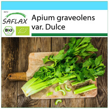 SAFLAX Geschenk Set - Sellerie - Apium - 500 Samen