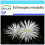 SAFLAX Geschenk Set - Seeigelkaktus - Echinopsis - 40 Samen 1