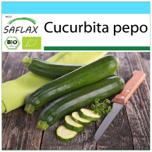 SAFLAX Geschenk Set - Zucchini - Nero di Milano - Cucurbita - 6 Samen