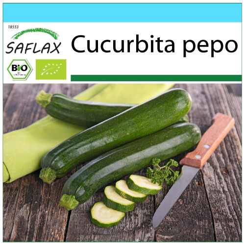 SAFLAX Geschenk Set - Zucchini - Nero di Milano - Cucurbita - 6 Samen