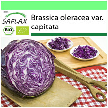 SAFLAX Garden to go - BIO - Cavolo rosso - Red Drumhead - 250 semi - Brassica