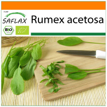 SAFLAX Garden in the bag - BIO - Acetosa - 400 semi - Rumex