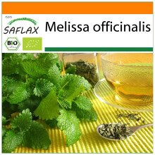 SAFLAX Garden in the bag - Ecológico - Melisa - 1000 semillas - Melissa