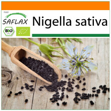 SAFLAX Garden in the bag - Schwarzkümmel - Nigella - 300 Samen