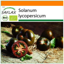 SAFLAX Garden in the bag - Ecológico - Tomate - cherry negro - 10 semillas - Solanum