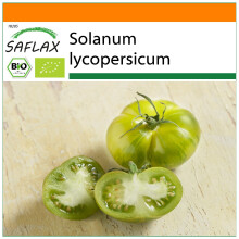 SAFLAX Garden in the bag - BIO - Pomodoro - Green Zebra - 10 semi - Solanum