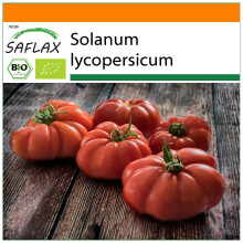 SAFLAX Garden in the bag - BIO - Pomodoro - Rouge de Marmande - 10 semi - Solanum