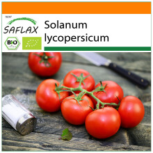 SAFLAX Garden in the bag - BIO - Pomodoro - Matina - 10 semi - Solanum