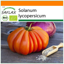 SAFLAX Garden in the bag - BIO - Pomodoro - Cuor di bue - 10 semi - Solanum