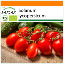 SAFLAX Garden in the bag - BIO - Pomodoro - Roma - 15 semi - Solanum
