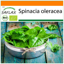 SAFLAX Garden in the bag - BIO - Spinaci - Gigante d'inverno - 250 semi - Spinacia