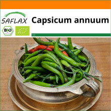 SAFLAX Garden in the bag - Peperoncino - Sigaretta di Bergamo - 10 semi - Capsicum