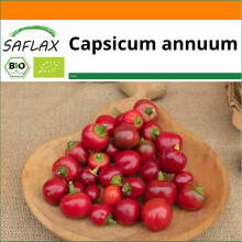 SAFLAX Garden in the bag - Peperoncino - Piccante Cilieglia - 10 semi - Capsicum