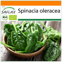 SAFLAX Garden in the bag - BIO - Spinaci - Matador - 300 semi - Spinacia