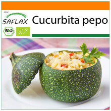 SAFLAX Garden in the bag - BIO - Zucchina - Tondo di Nizza - 5 semi - Cucurbita