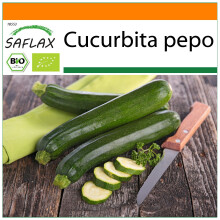 SAFLAX Garden in the bag - Zucchini - Nero di Milano - Cucurbita - 6 Samen