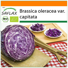 SAFLAX Garden in the bag - BIO - Cavolo rosso - Red Drumhead - 250 semi - Brassica