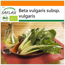 SAFLAX Garden in the bag - Ecológico - Acelga suiza - 150 semillas - Beta