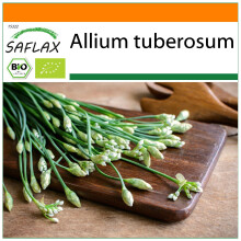 SAFLAX Garden in the bag - BIO - Aglio cinese o erba cipollina cinese - 100 semi - Allium