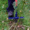 Spear & Jackson Spear & Jackson 4853UW Ragwort Ultra Weeder 5