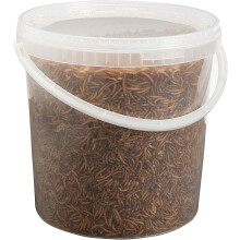 Pet Ting Dried Mealworms 10 Litre