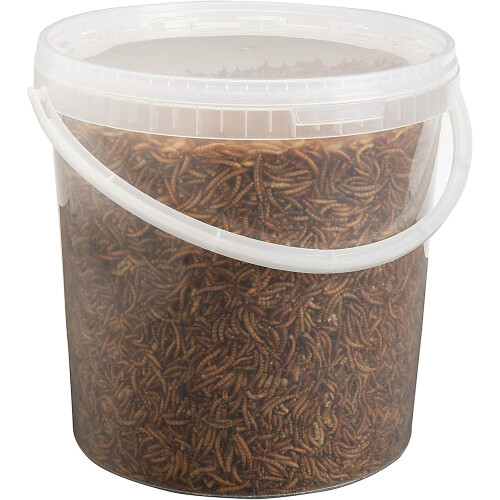 Pet Ting Dried Mealworms 10 Litre