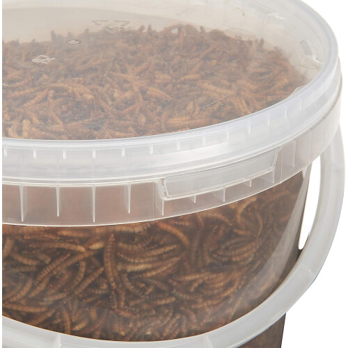 Pet Ting Dried Mealworms 10 Litre 1