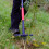 Spear & Jackson Spear & Jackson 4853UW Ragwort Ultra Weeder 8