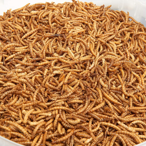 Pet Ting Dried Mealworms 10 Litre 2