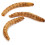 Pet Ting Dried Mealworms 10 Litre 4