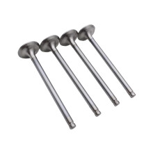 4x Exhaust Valves EV1060 Easy Installation for Peugeot 206 Bipper Tepee