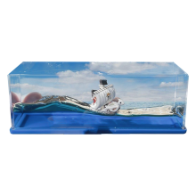 Cruise Ship Fluid Drift Bottle, Boxed Unsinkable Ship, Bottle